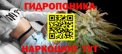 индика Партизанск