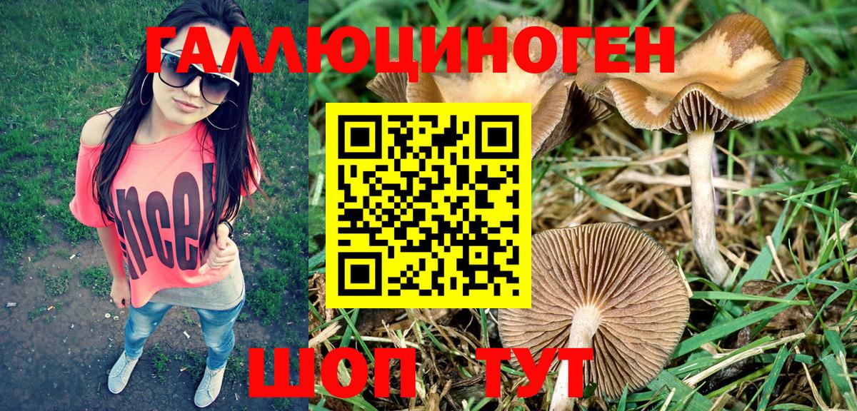 Тихорецк  Псилоцибиновые грибы Cubensis  магазин продажи   Вход с VPN  Галлюциногенные грибы Psilocybine cubensis 